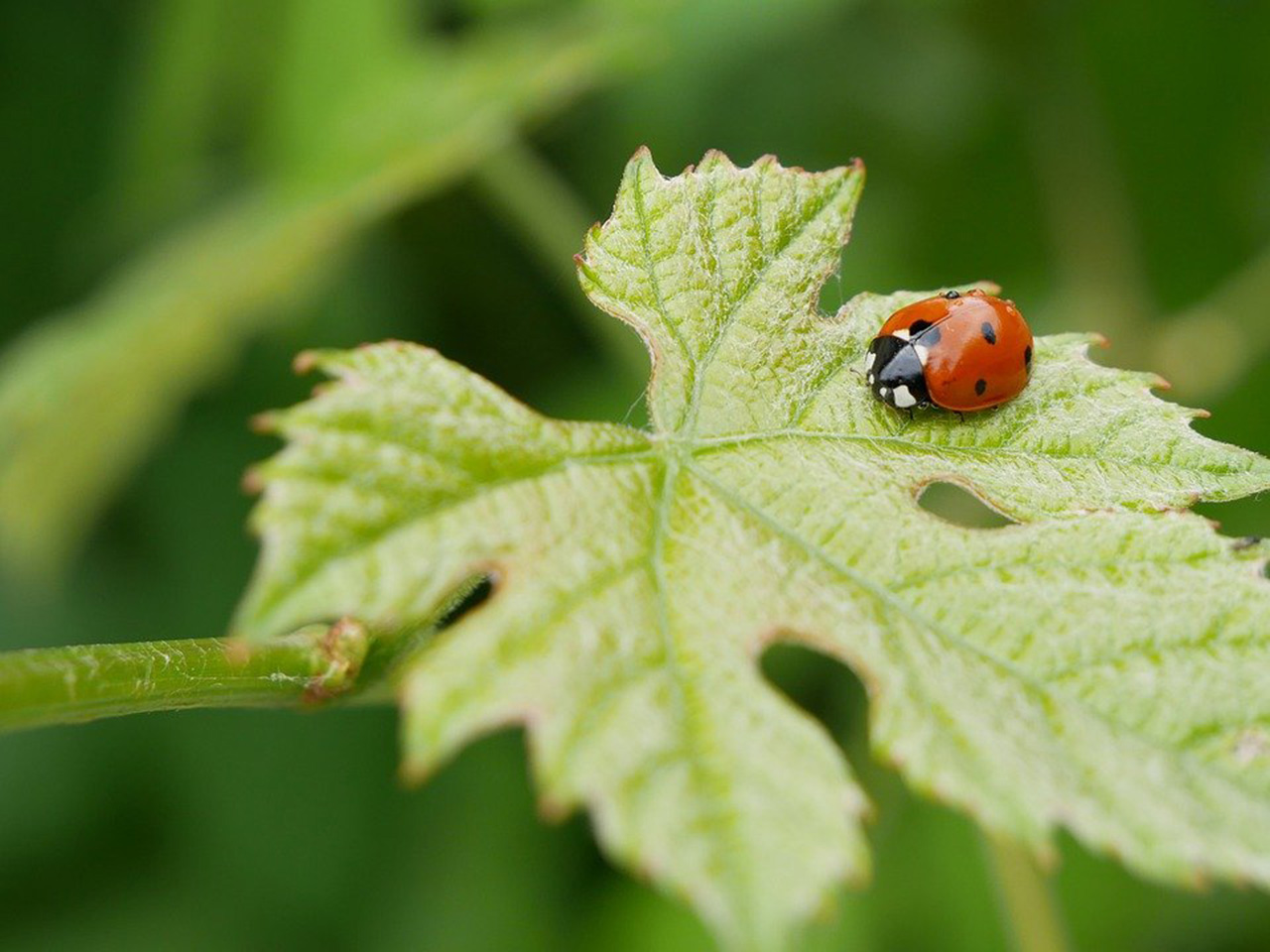 opera-archive-contaminazione-puntiforme