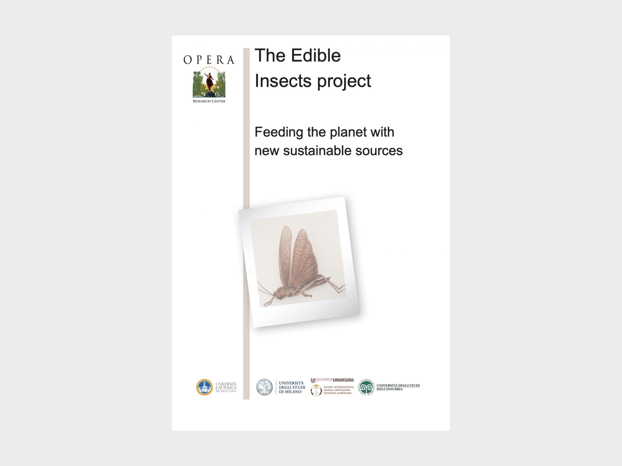 opera-archive-doc-edible-insects-feeding-the-planet-with-edible-insects