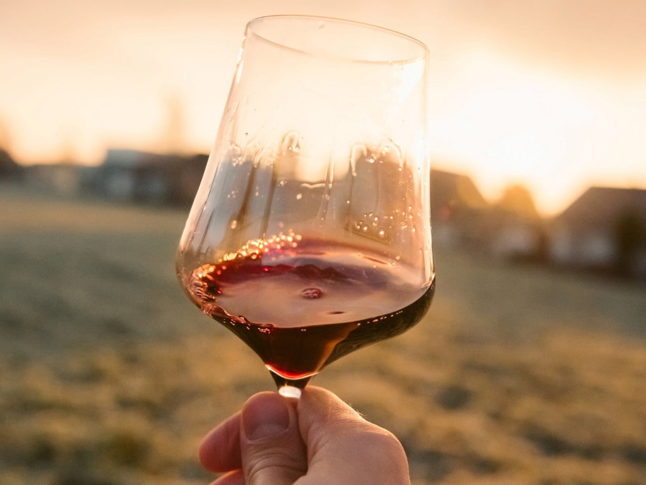 opera-archive-gestione-residui-vino