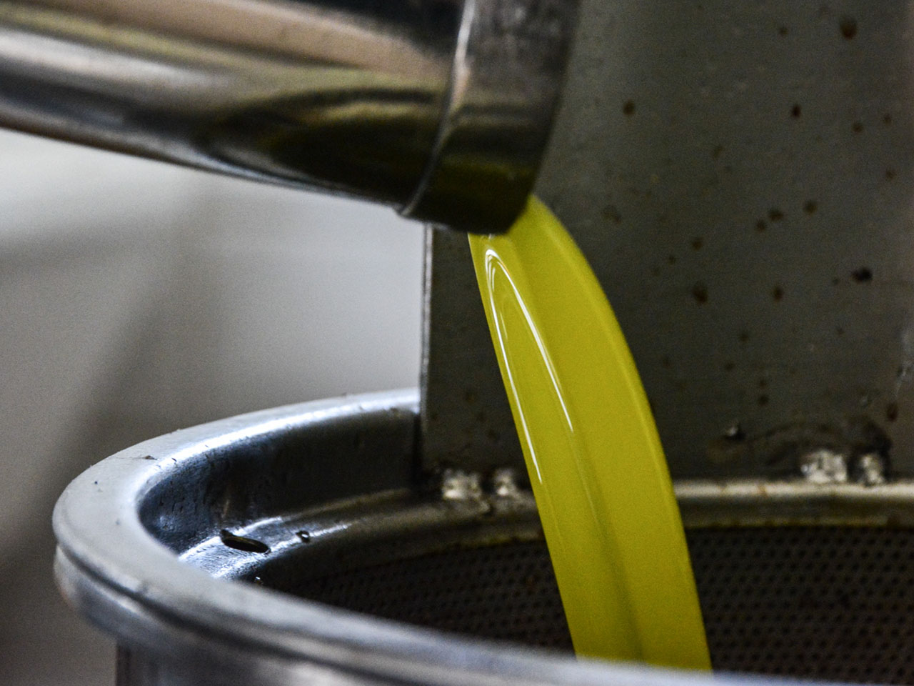 opera-archive-pan-vs-standard-di-sostenibilita