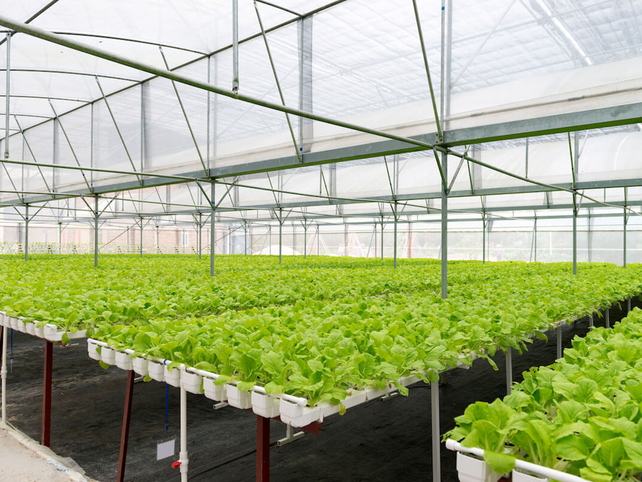 opera-archive-sustainable-agriculture-supporting-european-biodiversity