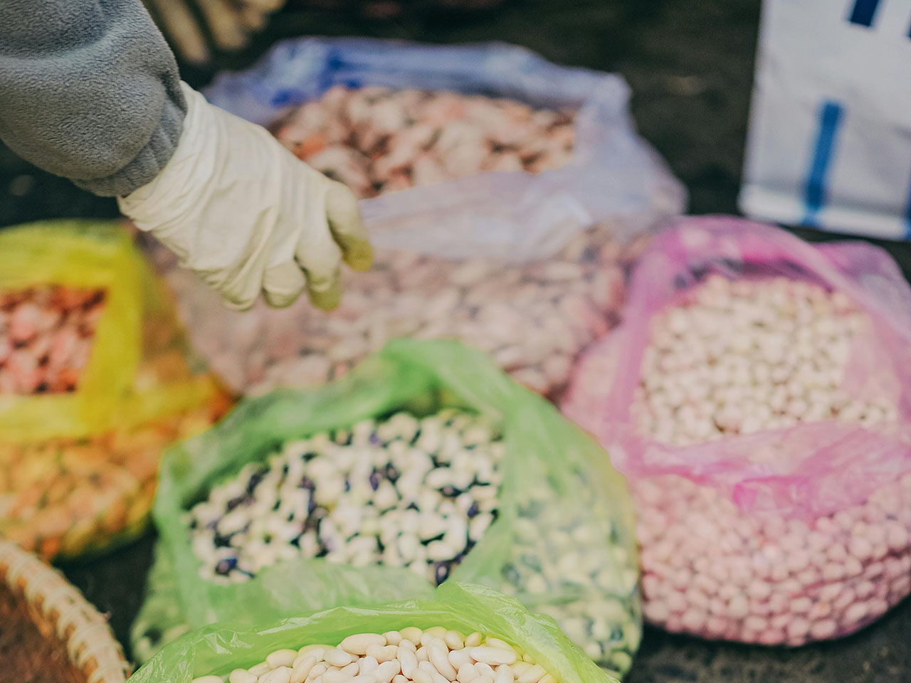 opera-archivio-video-filiera-legumi