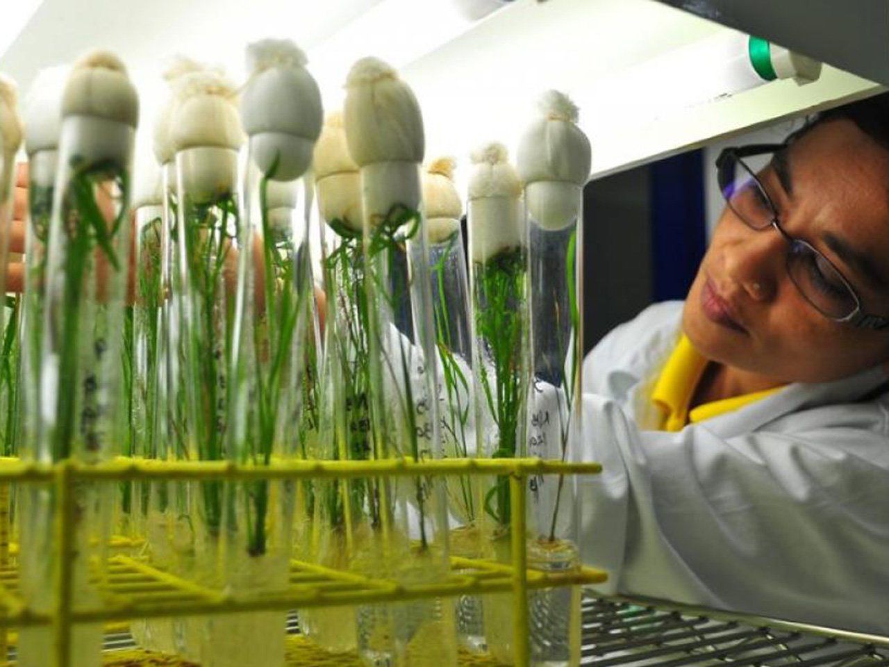 opera-archivio-video-gmo