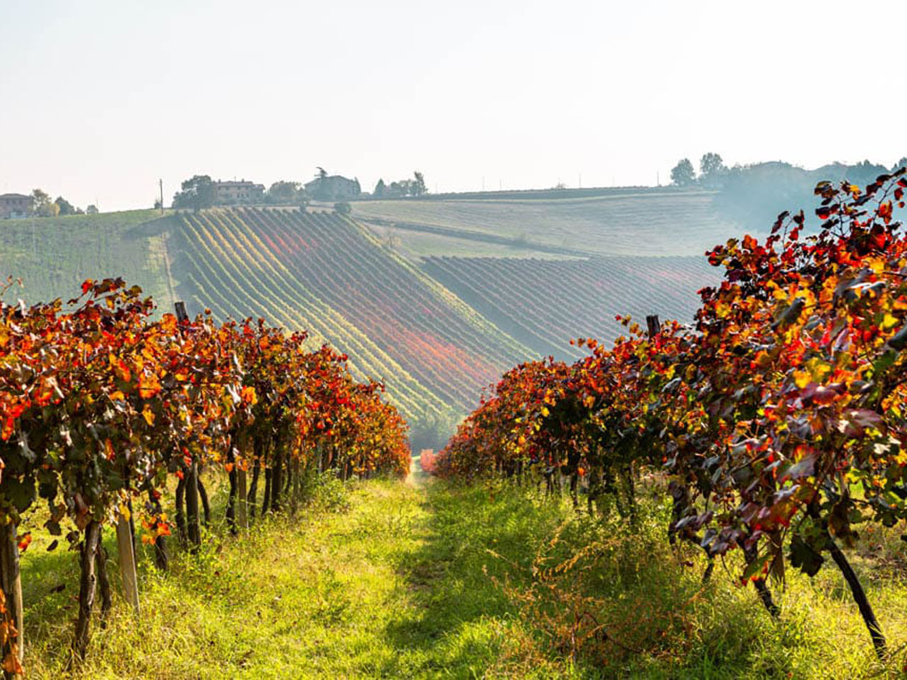 opera_project_ minerva