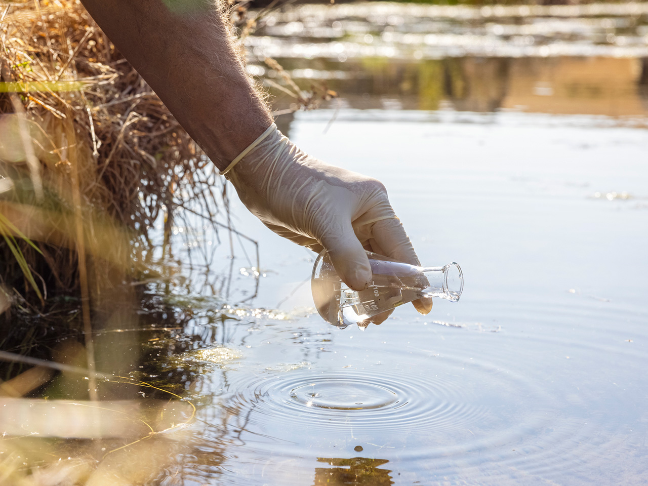 opera_project_seaonchip