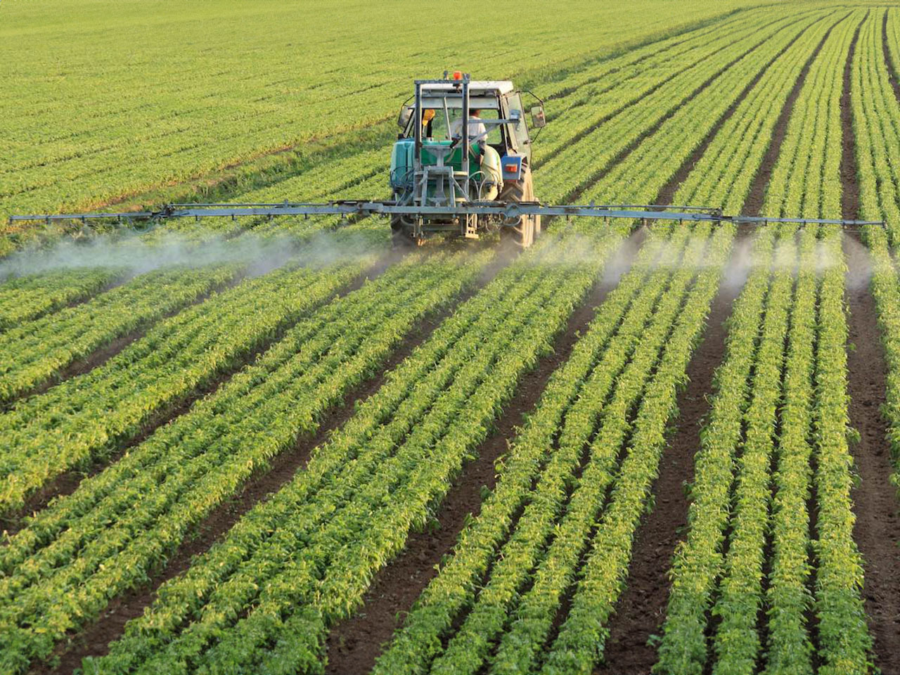 opera_project_trainagro2020