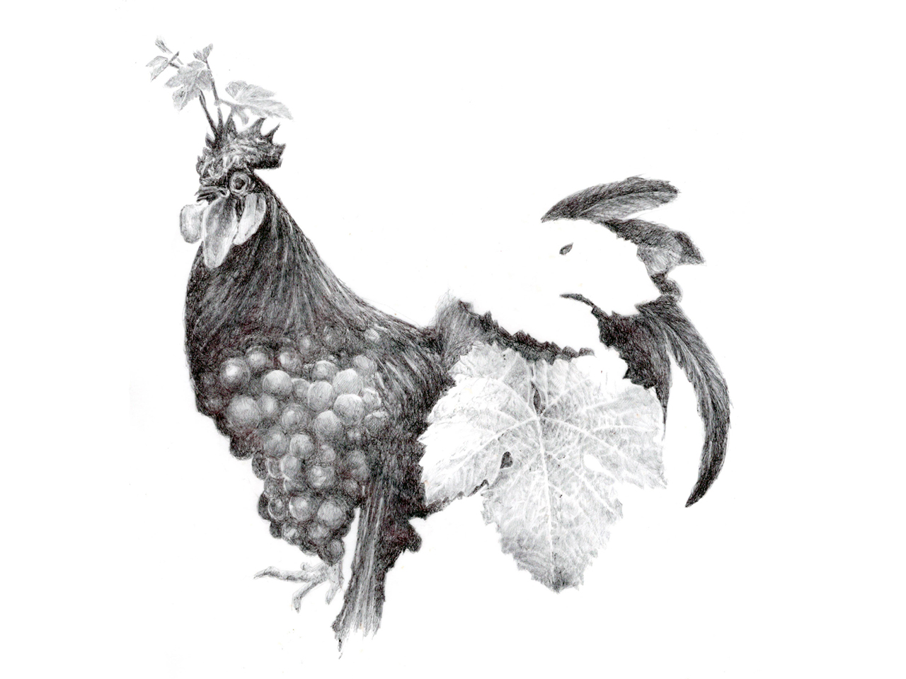 opera-project-bestiario